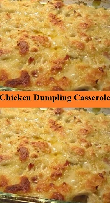 Best Chicken Dumpling Casserole