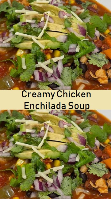 Creamy Chicken Enchilada Soup