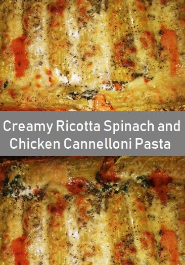 Creamy Ricotta Spinach and Chicken Cannelloni Pasta Recipe