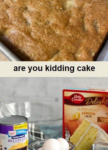Are You Kidding Cake