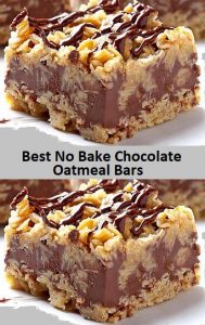 Best No Bake Chocolate Oatmeal Bars