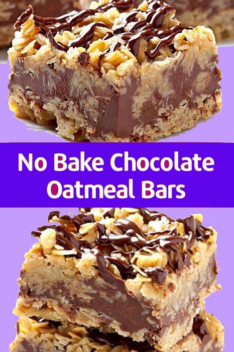 Chocolate Oatmeal Bars