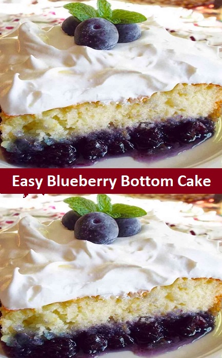Easy Blueberry Bottom Cake