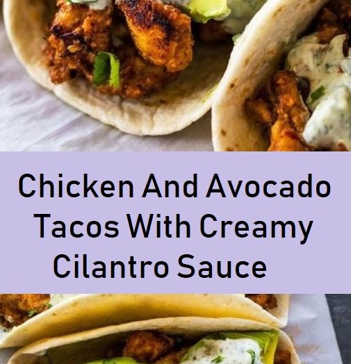 Chicken And Avocado Tacos With Creamy Cilantro Sauce
