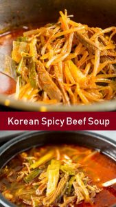 Korean Spicy Beef Soup