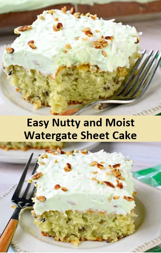 Easy Nutty and Moist Watergate Sheet Cake